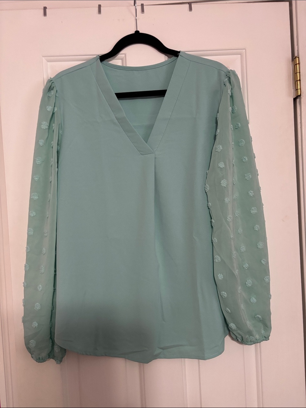 Mint V-Neck Long Sleeve Blouse, NWOT